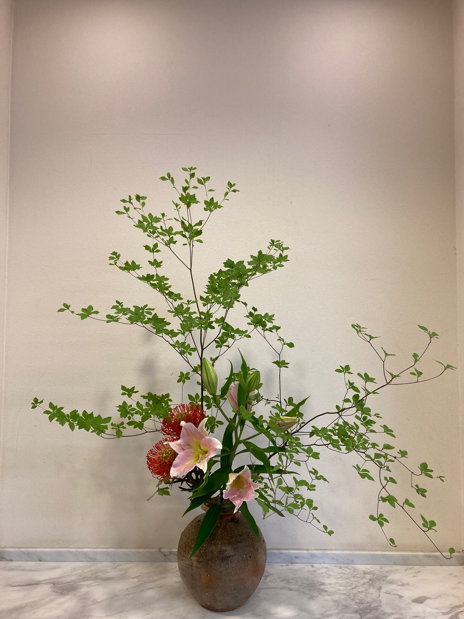 内科・心療内科・精神科 木村クリニック