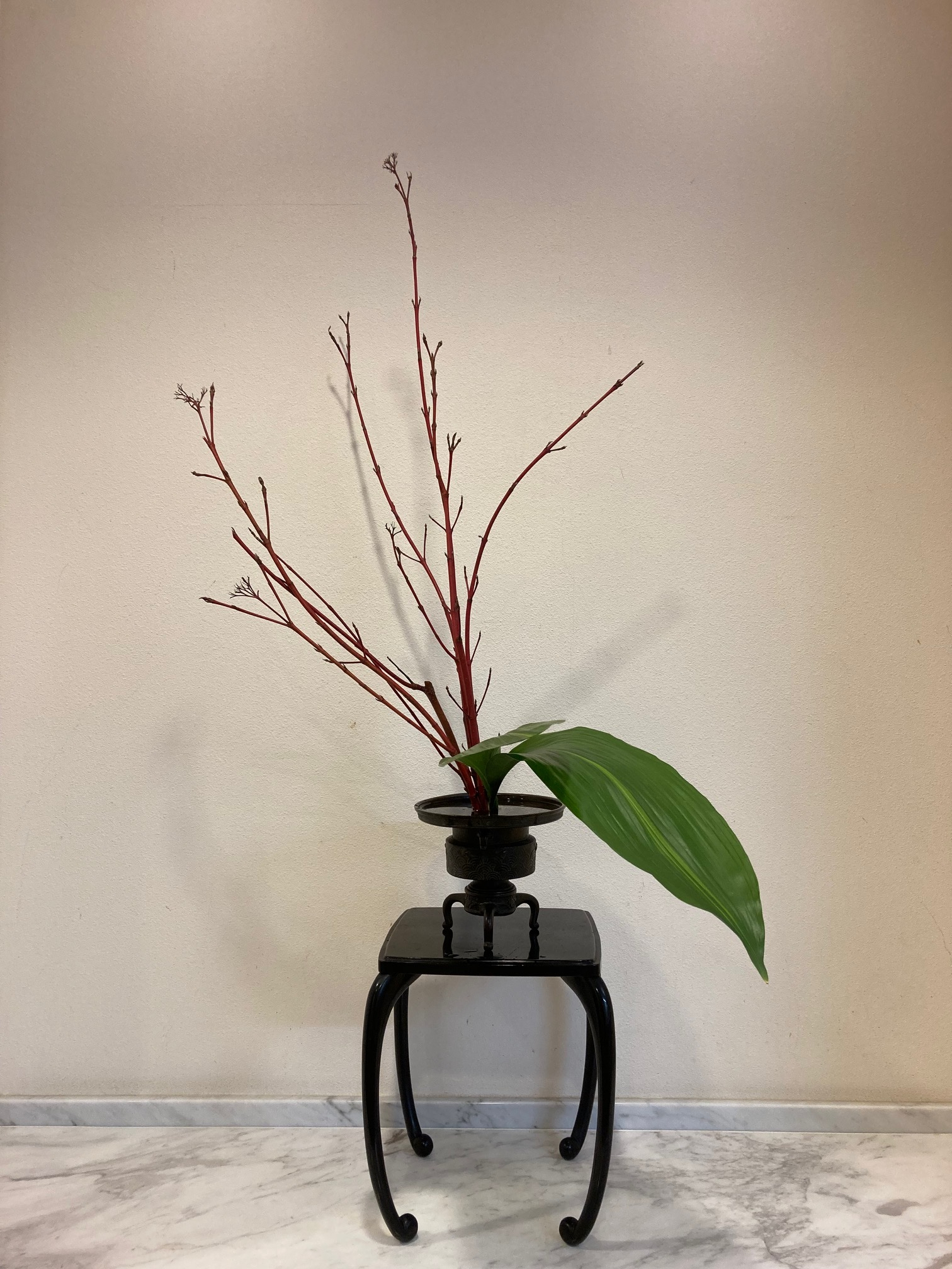 内科・心療内科・精神科 木村クリニック