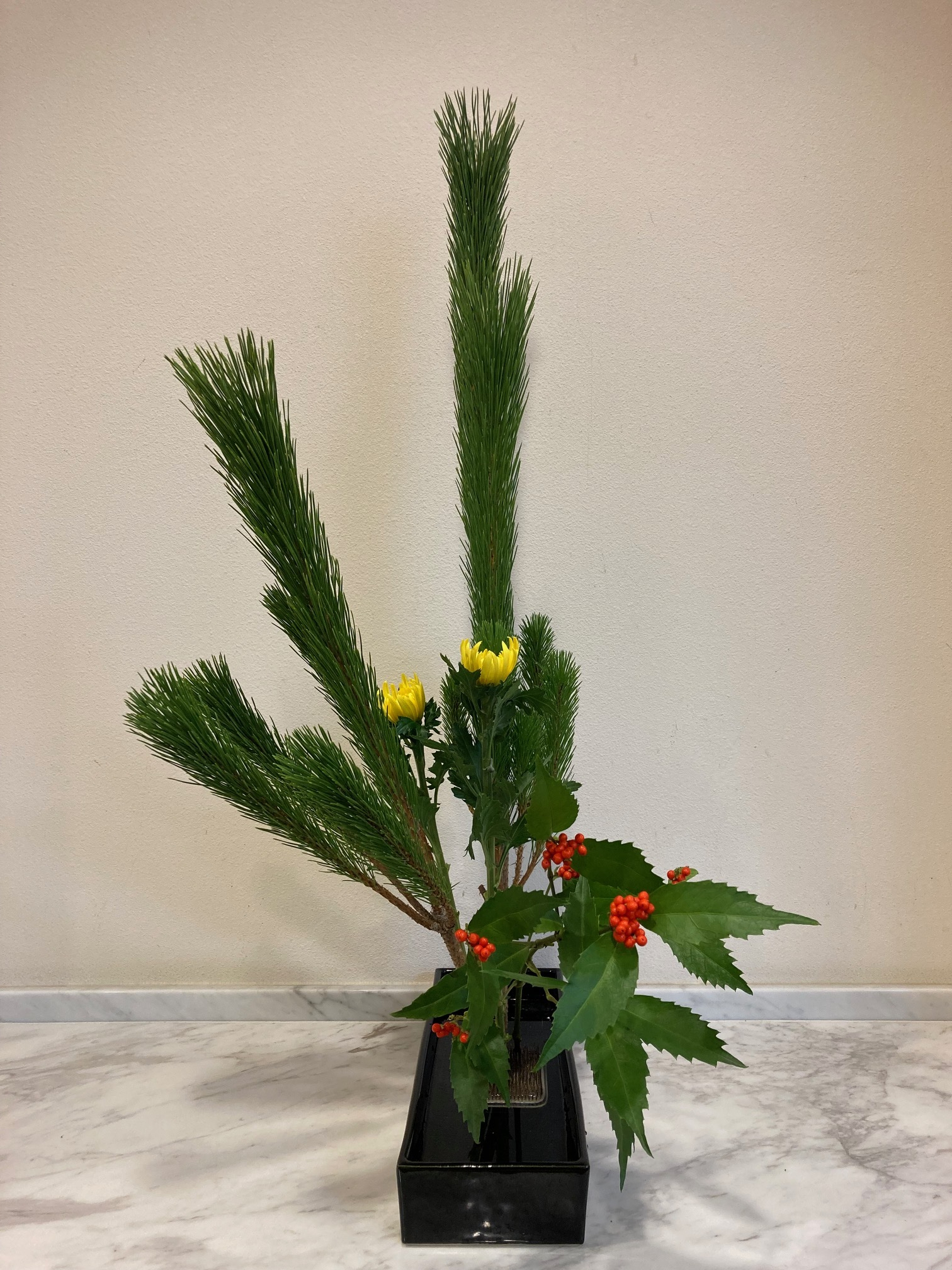 内科・心療内科・精神科 木村クリニック