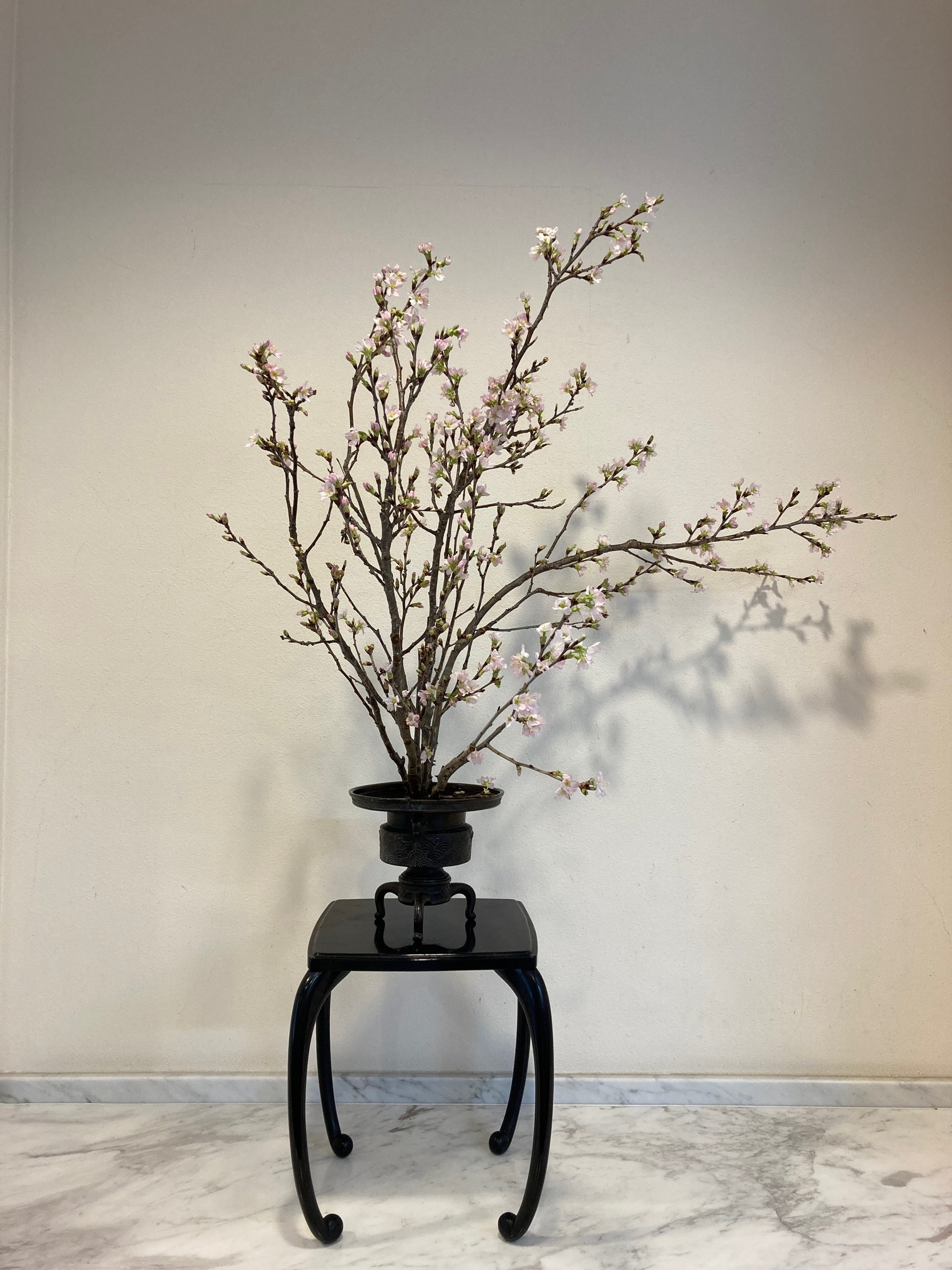 内科・心療内科・精神科 木村クリニック