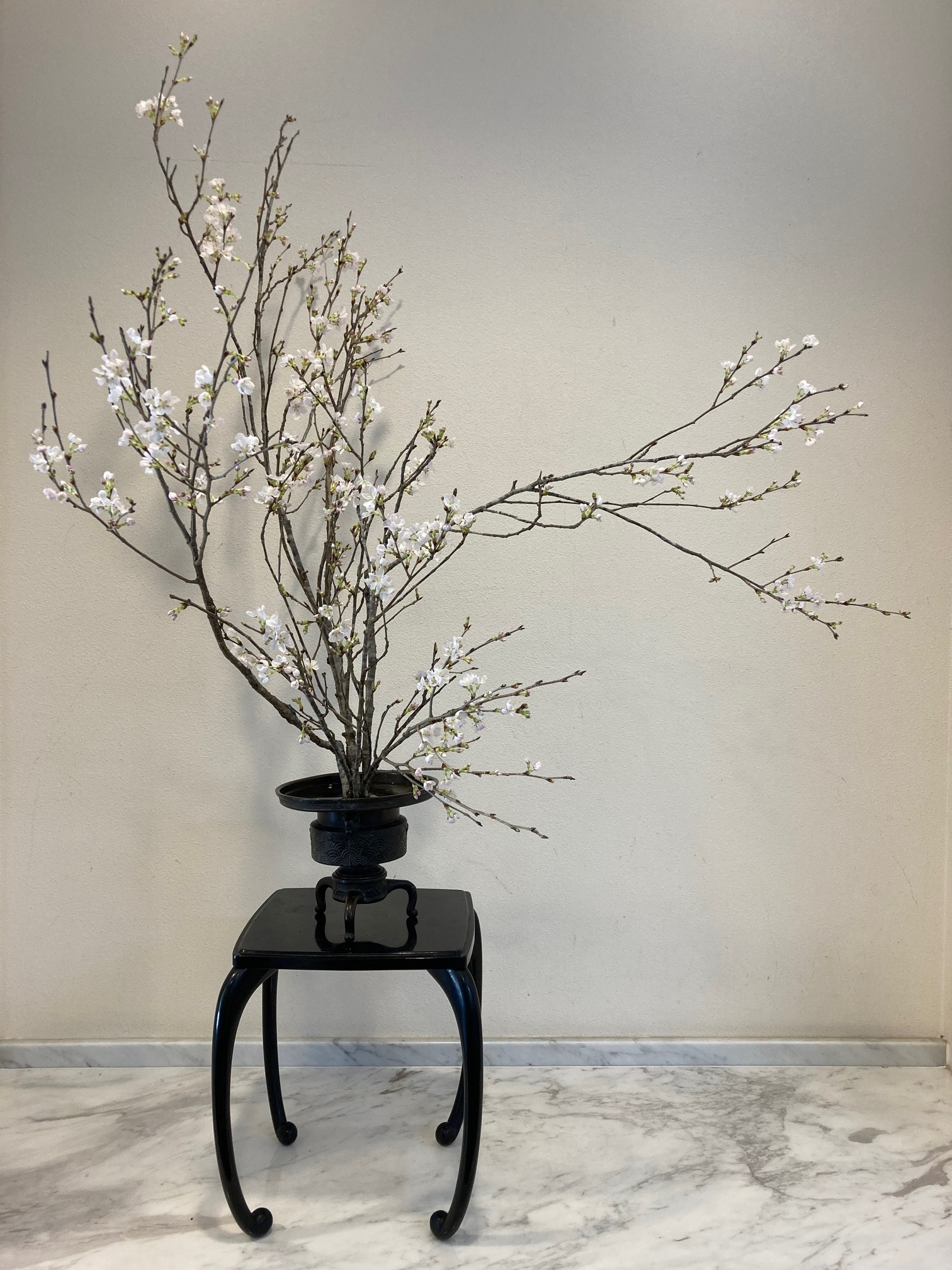 内科・心療内科・精神科 木村クリニック